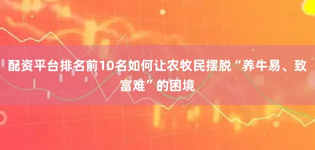 配资平台排名前10名如何让农牧民摆脱“养牛易、致富难”的困境