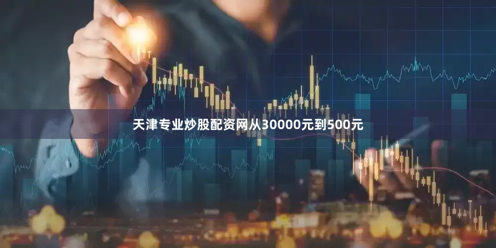 天津专业炒股配资网从30000元到500元