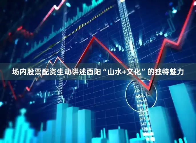 场内股票配资生动讲述酉阳“山水+文化”的独特魅力