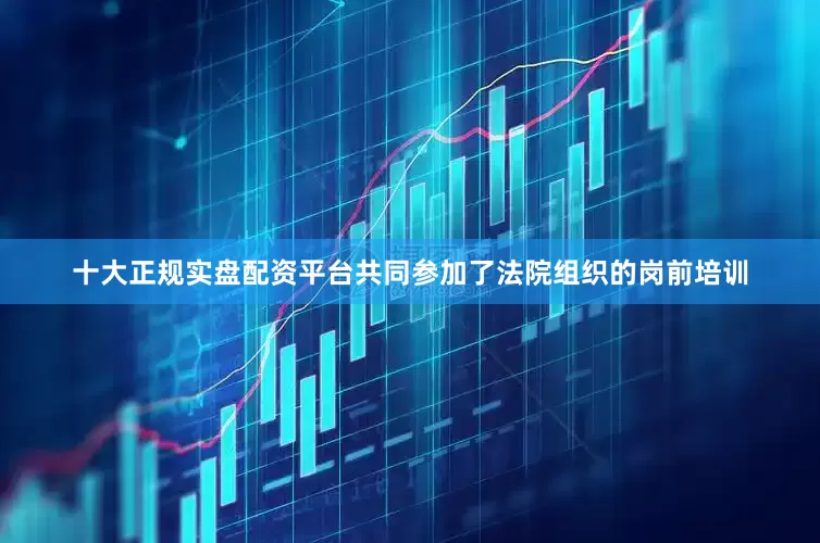 十大正规实盘配资平台共同参加了法院组织的岗前培训