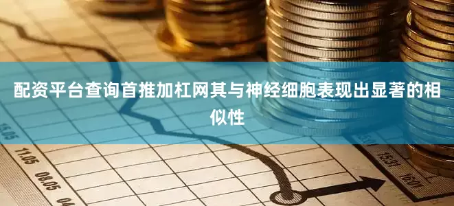 配资平台查询首推加杠网其与神经细胞表现出显著的相似性